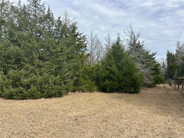 a view of a dry yard covered with snow in the background