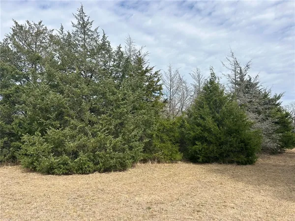 a view of a yard with plants and wooden fence