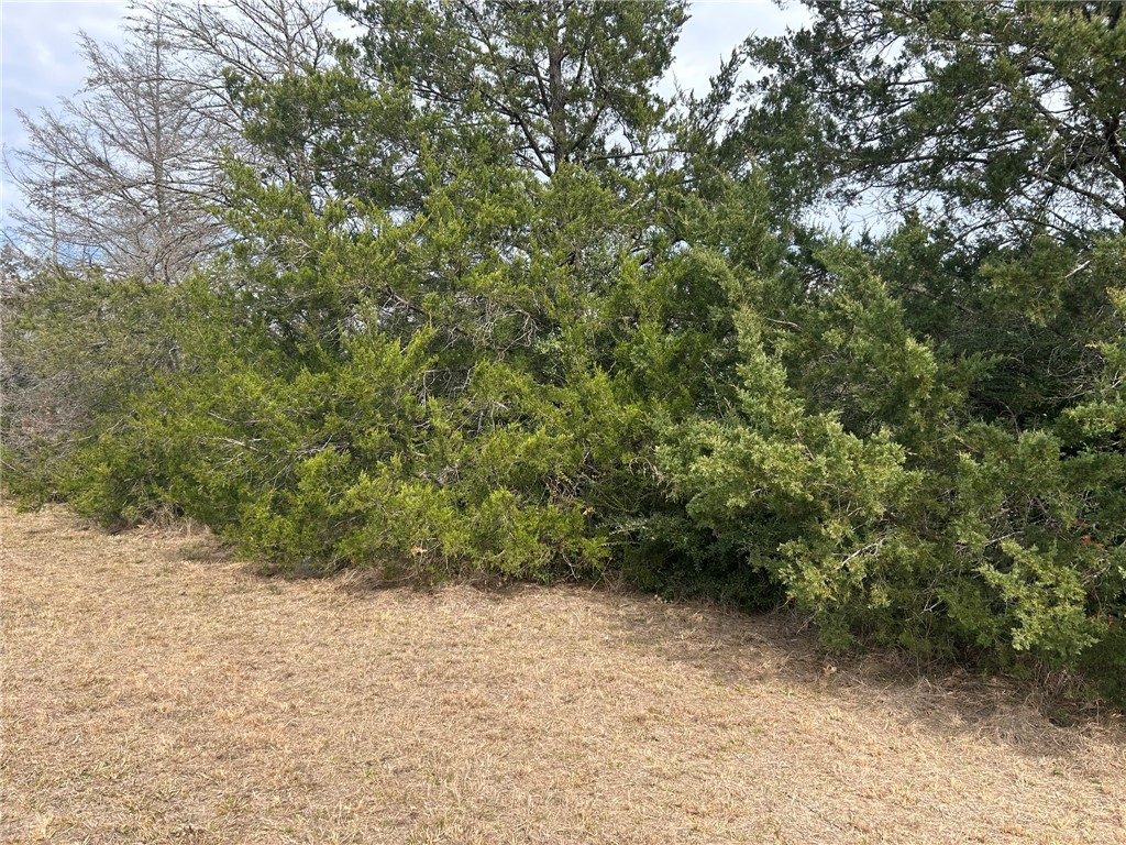 Tbd Tbd Deer Run, Unit COUNTYROAD College Station, TX 77845 - Photo 7 of 18
