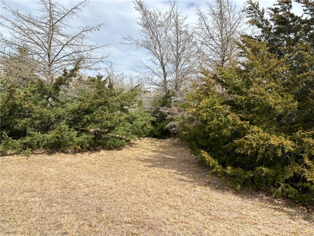 Tbd Tbd Deer Run, Unit COUNTYROAD College Station, TX 77845 - Photo 10 of 18