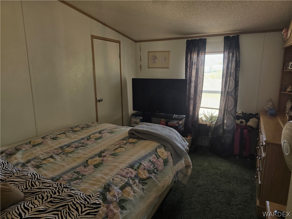 4182 Canelo Road Golden Valley, AZ 86413 - Photo 27 of 31 This room features wall paneling, a window with blinds and dark patterned curtains, and green carpet flooring
