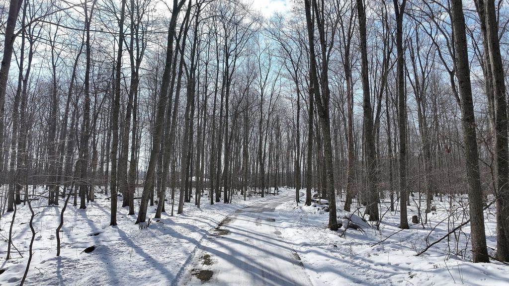 E1517 West Johnson Road Iola, WI 54945 - Photo 41 of 59