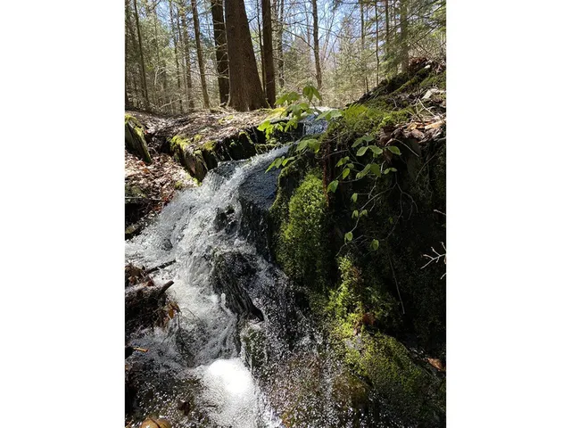 $625,000 | 1006 Brownsville Road, Moretown, VT 05602