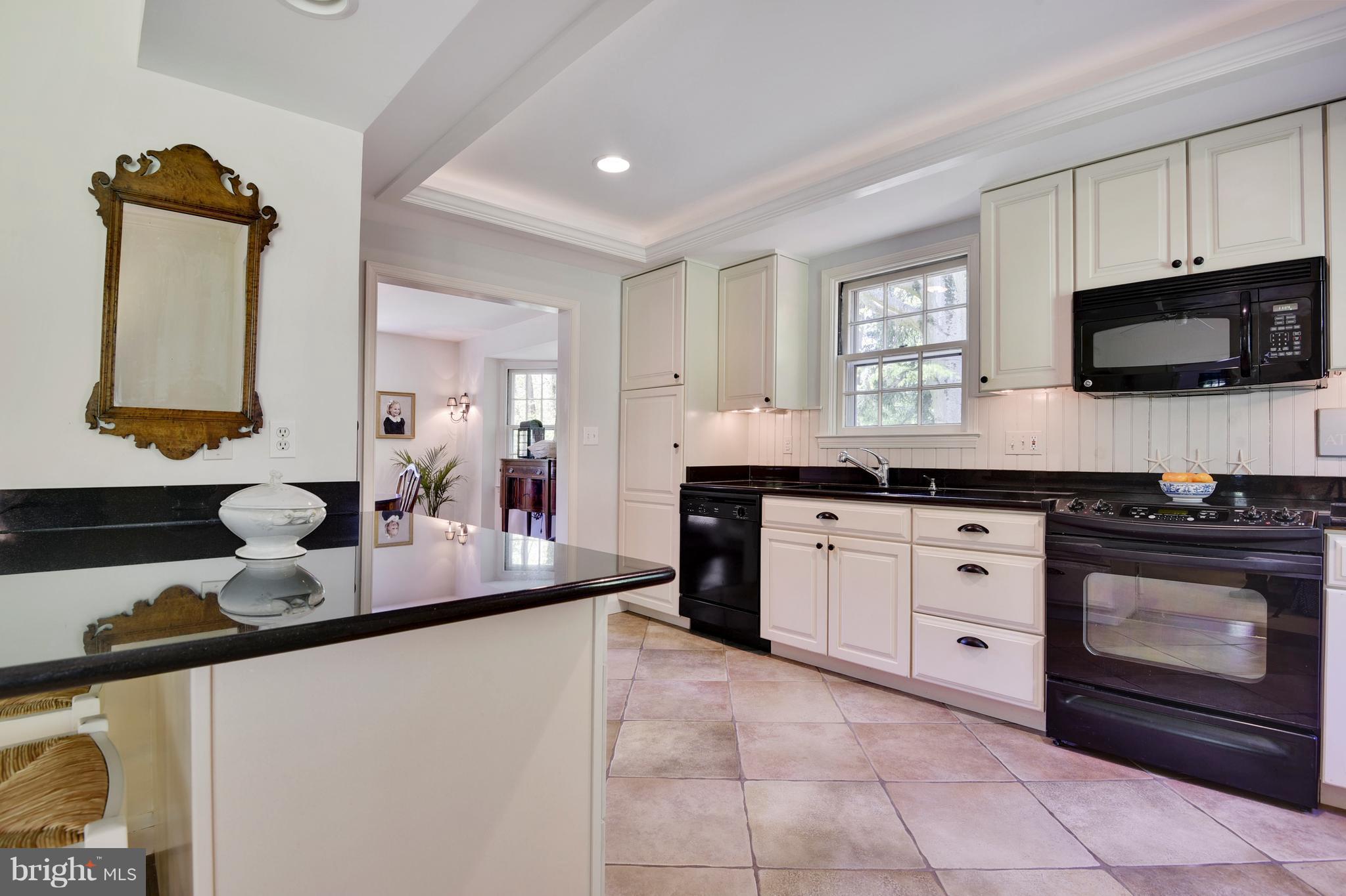 902 Navy Road Baltimore, MD 21204 - Photo 12 of 30 Kitchen with tray ceiling