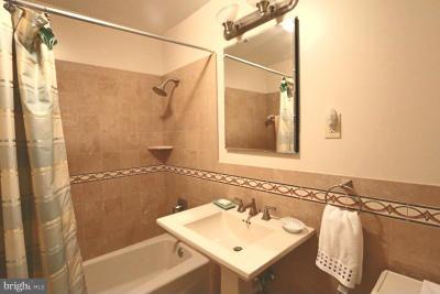 6429 Lignum Street Springfield, VA 22150 - Photo 8 of 29 a bathroom with a sink a shower and a mirror