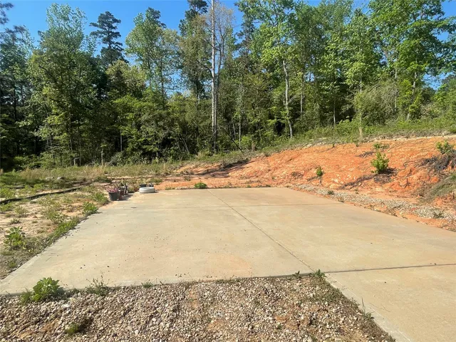 a view of a yard with plants and trees beside of it