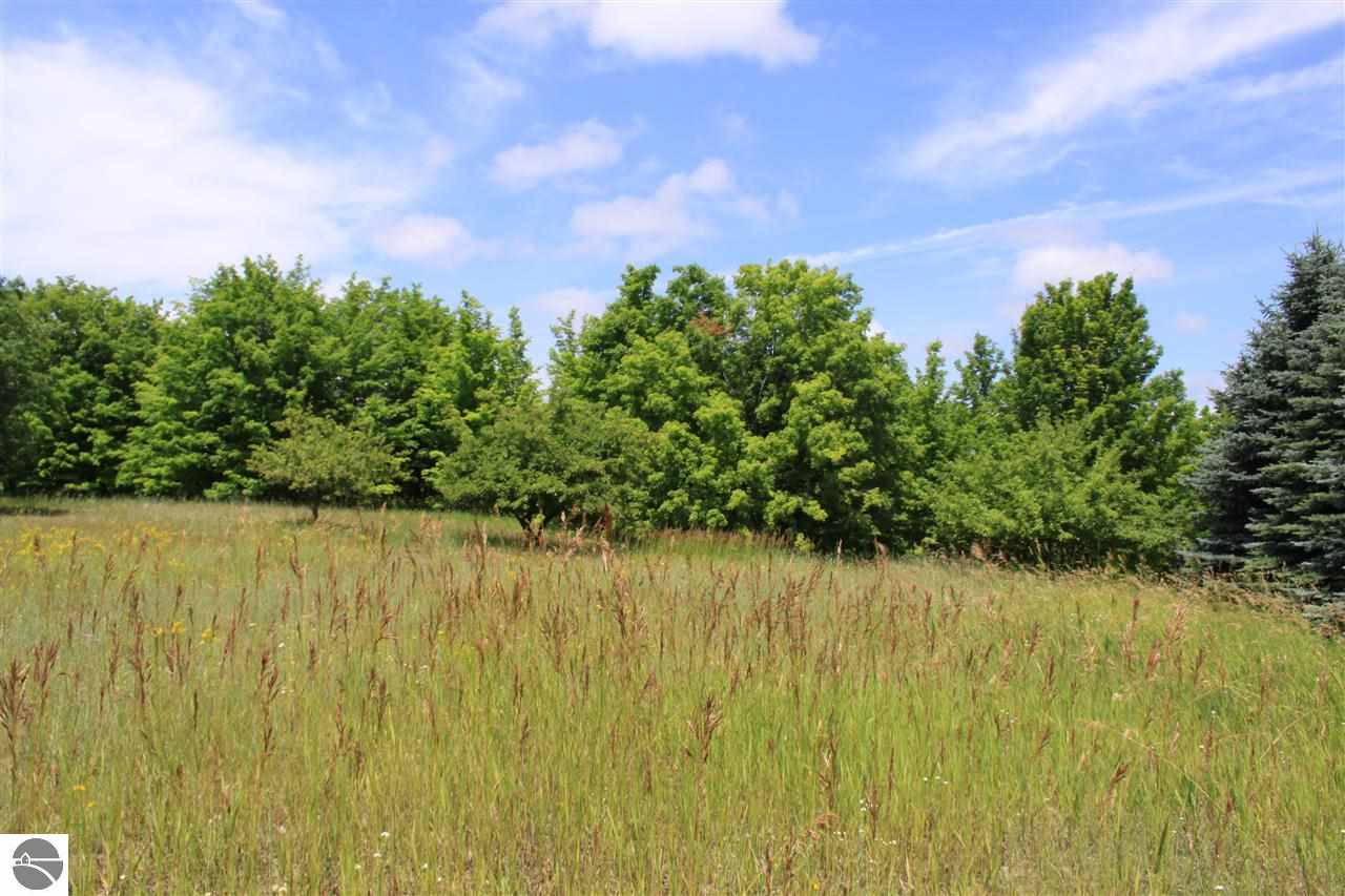 12772 Litzen Road Copemish, MI 49625 - Photo 18 of 57 1778614-17.JPG