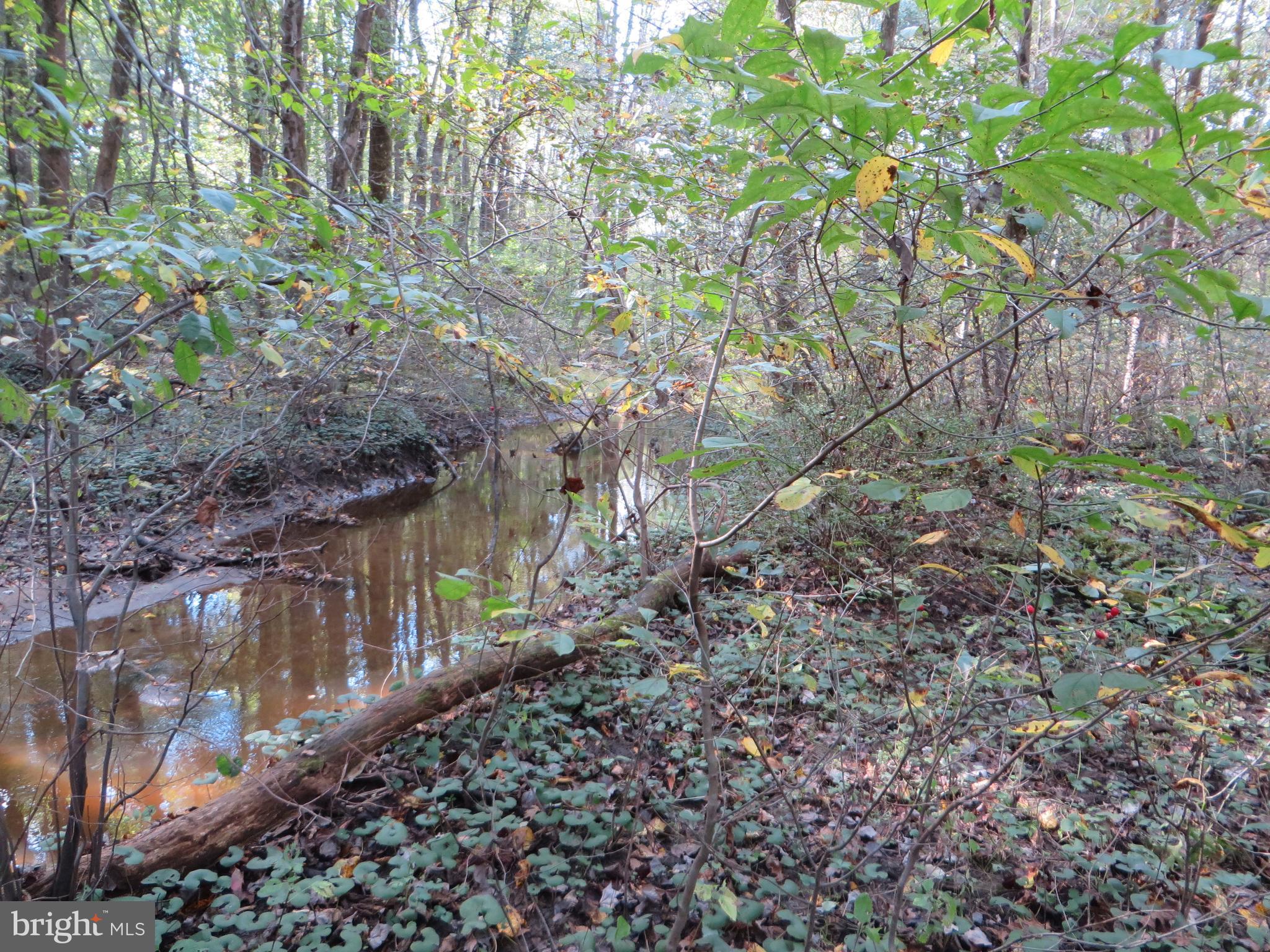 0 Pinetown Road Lewisberry, PA 17339 - Photo 8 of 9