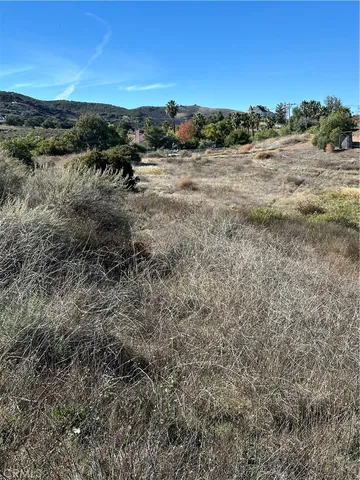 a view of a dry yard with trees