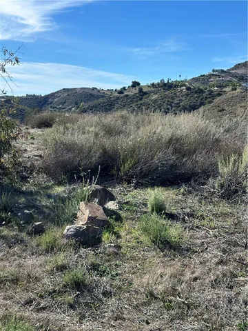 a view of a forest with top and mountain