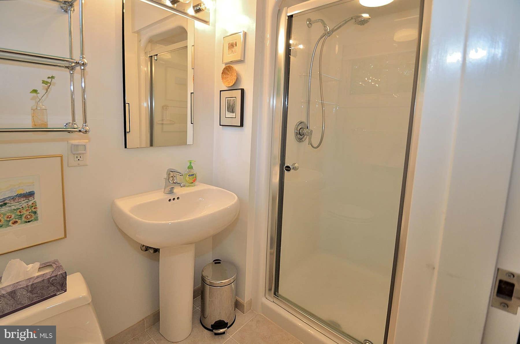 7202 Beechwood Road Alexandria, VA 22307 - Photo 20 of 30 Bath 2