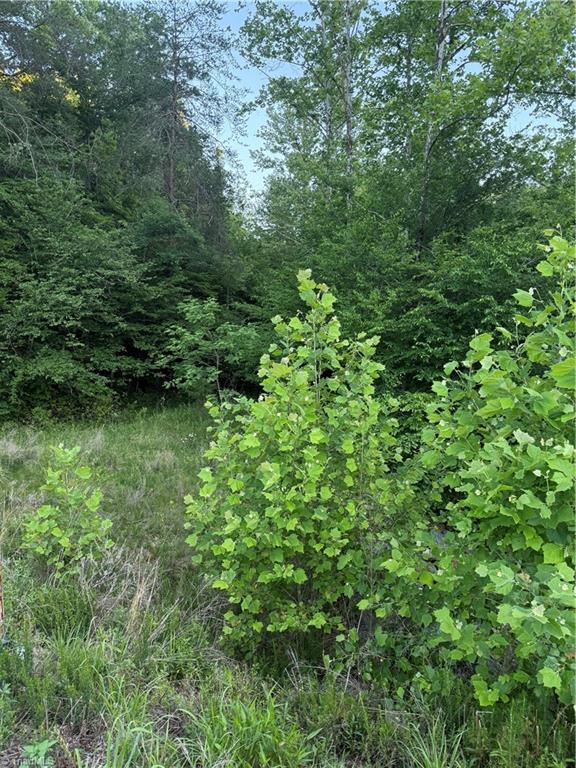 0 Puckett Road Westfield, NC 27053 - Photo 2 of 7