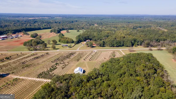 an aerial view of mountains and trees