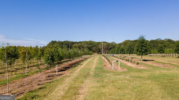 a view of a swimming pool with a yard