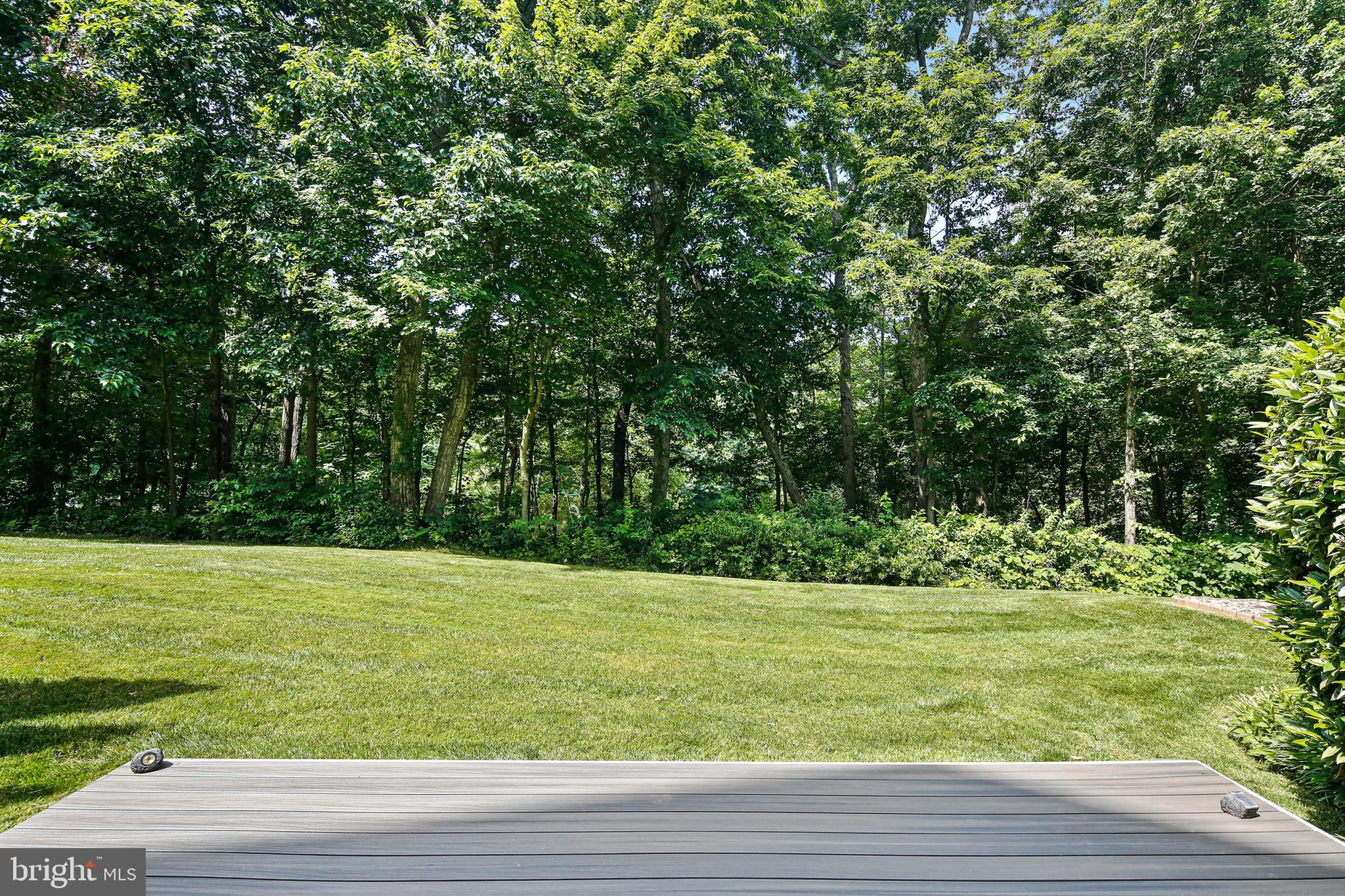 2040 Beacon Heights Drive Reston, VA 20191 - Photo 28 of 38 LL Deck is perfect place for plants and seating