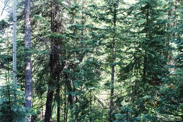 a picture of a bathroom with a shower