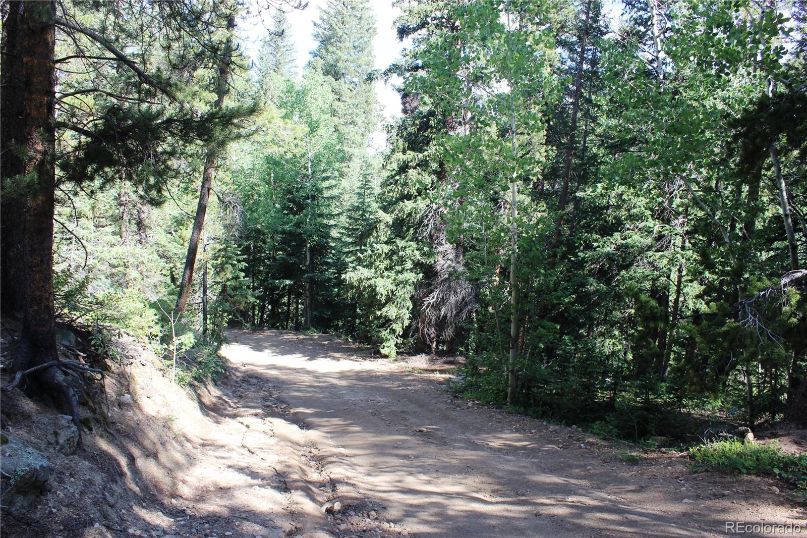 0 Sunflower Road Black Hawk, CO 80422 - Photo 2 of 14 a view of outdoor space and yard