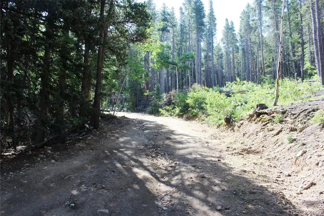 a backyard of a house with lots of trees