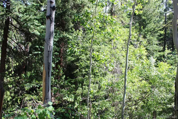 a view of outdoor space and trees all around