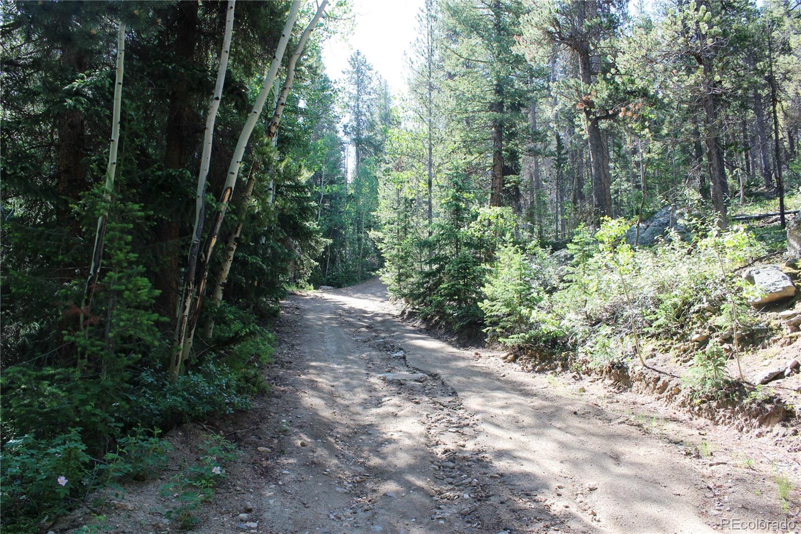 0 Sunflower Road Black Hawk, CO 80422 - Photo 10 of 14 a view of outdoor space and trees all around