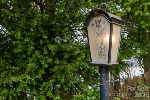 a view of a yard with plants and large trees
