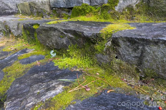 $550,000 | 15 Chestnut Street, Tryon, NC 28782