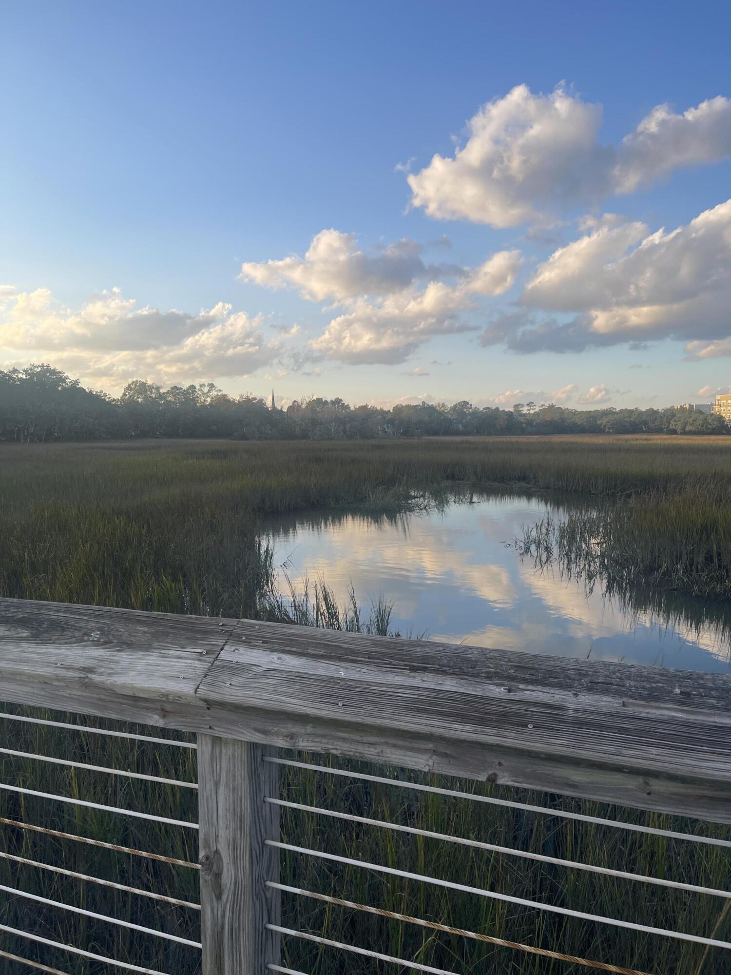 135 Pier View Street, Unit 101 Daniel Island, SC 29492 - Photo 12 of 13 26D51B29-DBBD-49BE-818B-572CF0CBEC12
