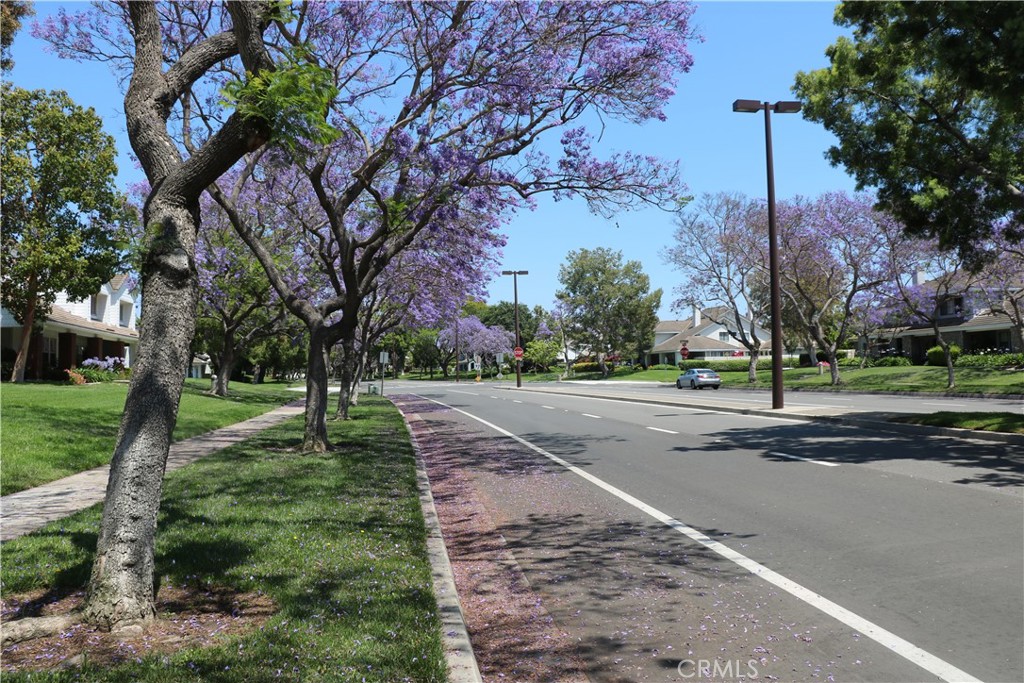 80 Greenmoor, Unit 40 Irvine, CA 92614 - Photo 3 of 26 a view of street with large trees