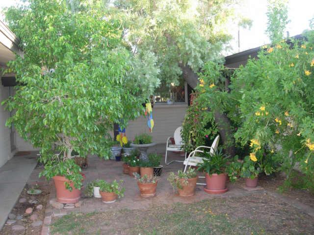 3409 East Mountain View Road Phoenix, AZ 85028 - Photo 2 of 6 Additional Photo