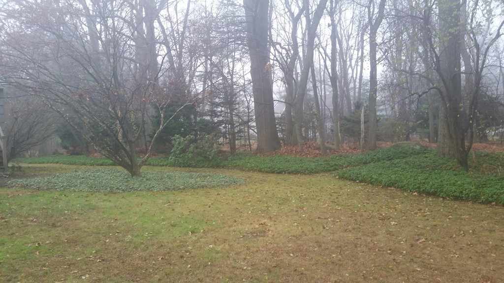 14 Strawberry Hill Road Andover, MA 01810 - Photo 8 of 8
