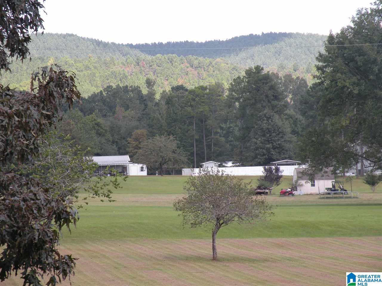 4330 Odens Mill Road Sylacauga, AL 35151 - Photo 24 of 28