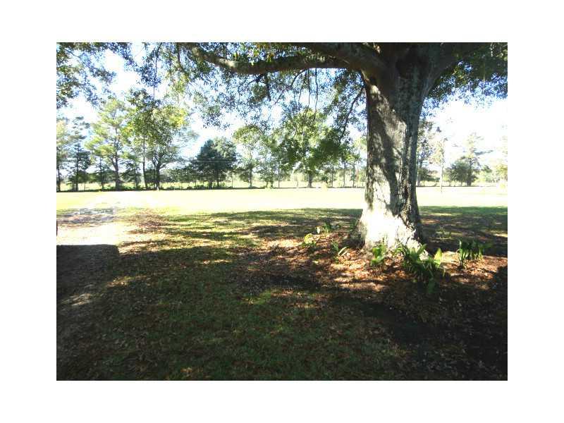 21503 Chappepeela Road Loranger, LA 70446 - Photo 5 of 6 Gallery Image 5