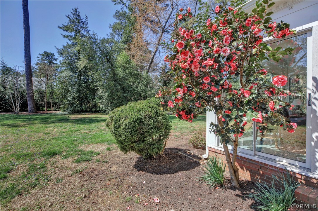 8801 Sierra Road Henrico, VA 23229 - Photo 31 of 33 Gallery Image 31