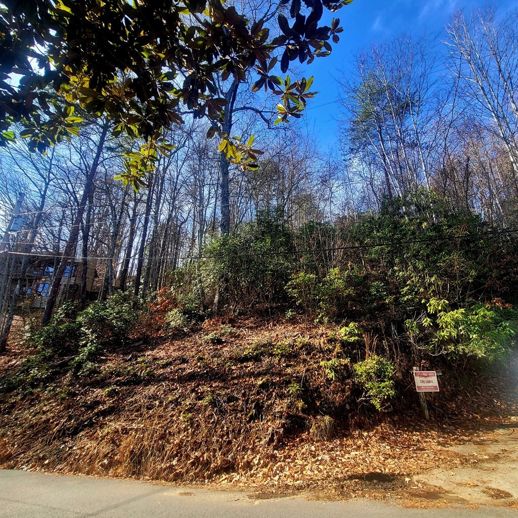 17 Zurich Road Gatlinburg, TN 37738 - Photo 13 of 24