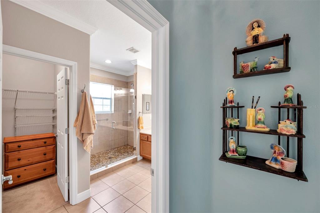 4717 Osprey Ridge Circle Palm Harbor, FL 34684 - Photo 17 of 39