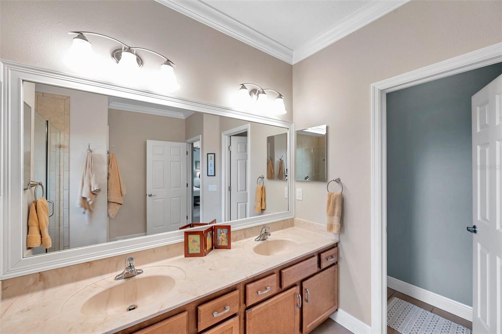 4717 Osprey Ridge Circle Palm Harbor, FL 34684 - Photo 19 of 39