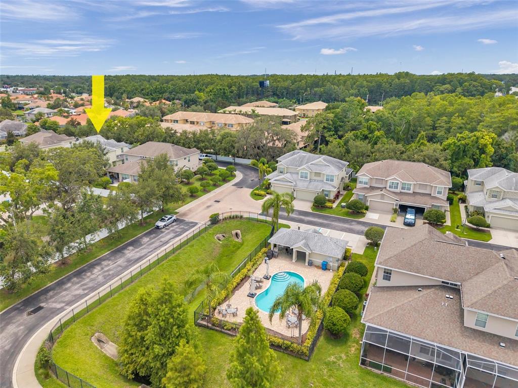 4717 Osprey Ridge Circle Palm Harbor, FL 34684 - Photo 38 of 39