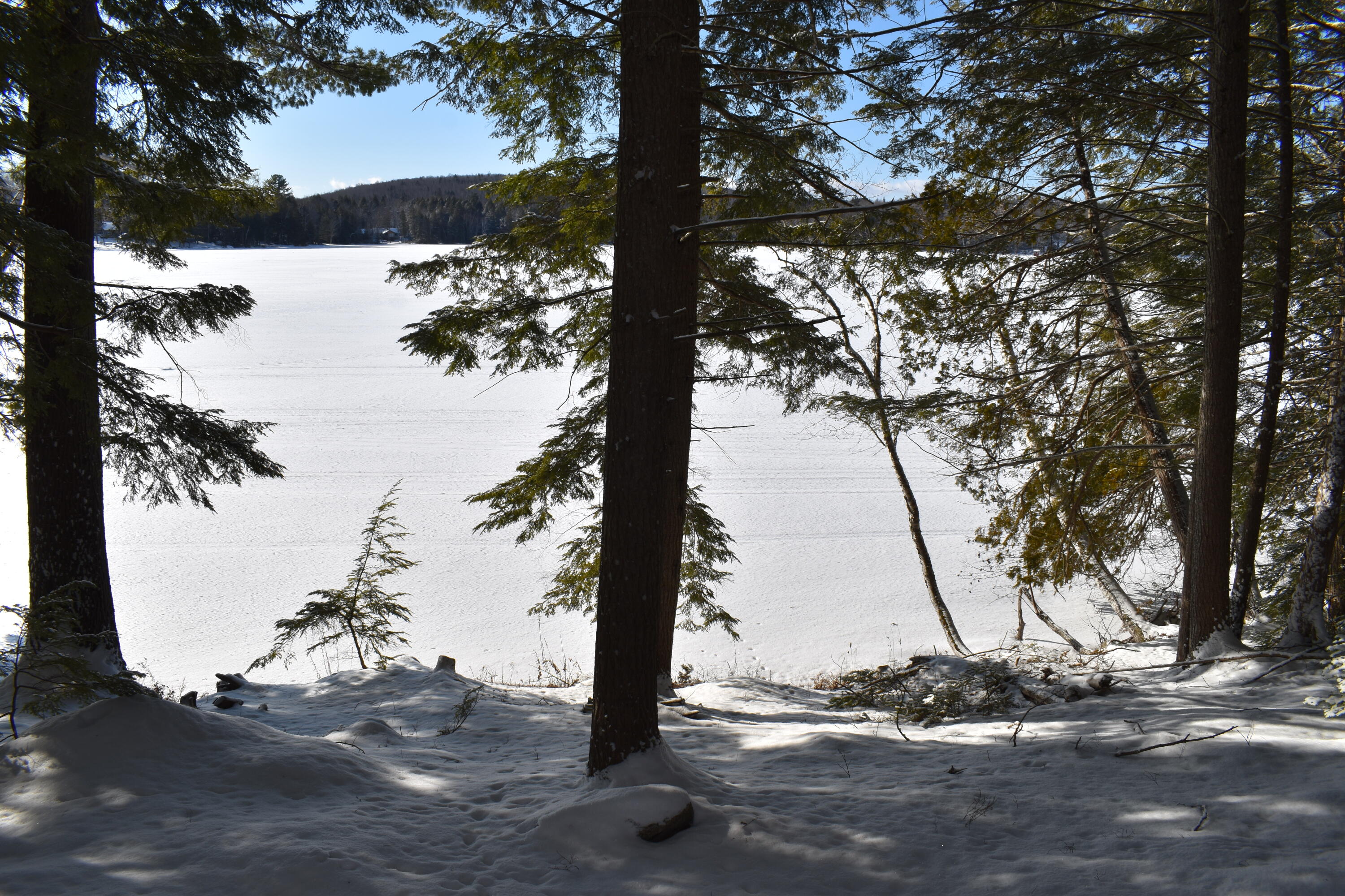 37.41 Acres Houston Road Lincoln, ME 04457 - Photo 3 of 29 DSC_0444