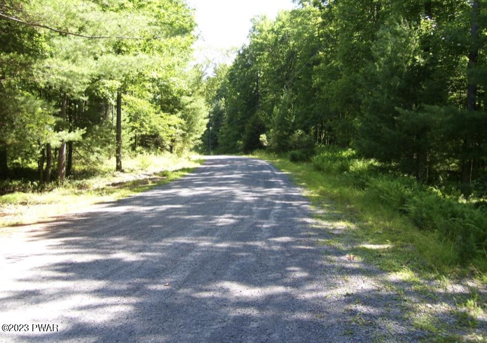 Corky's Road Lackawaxen, PA 18435 - Photo 2 of 7
