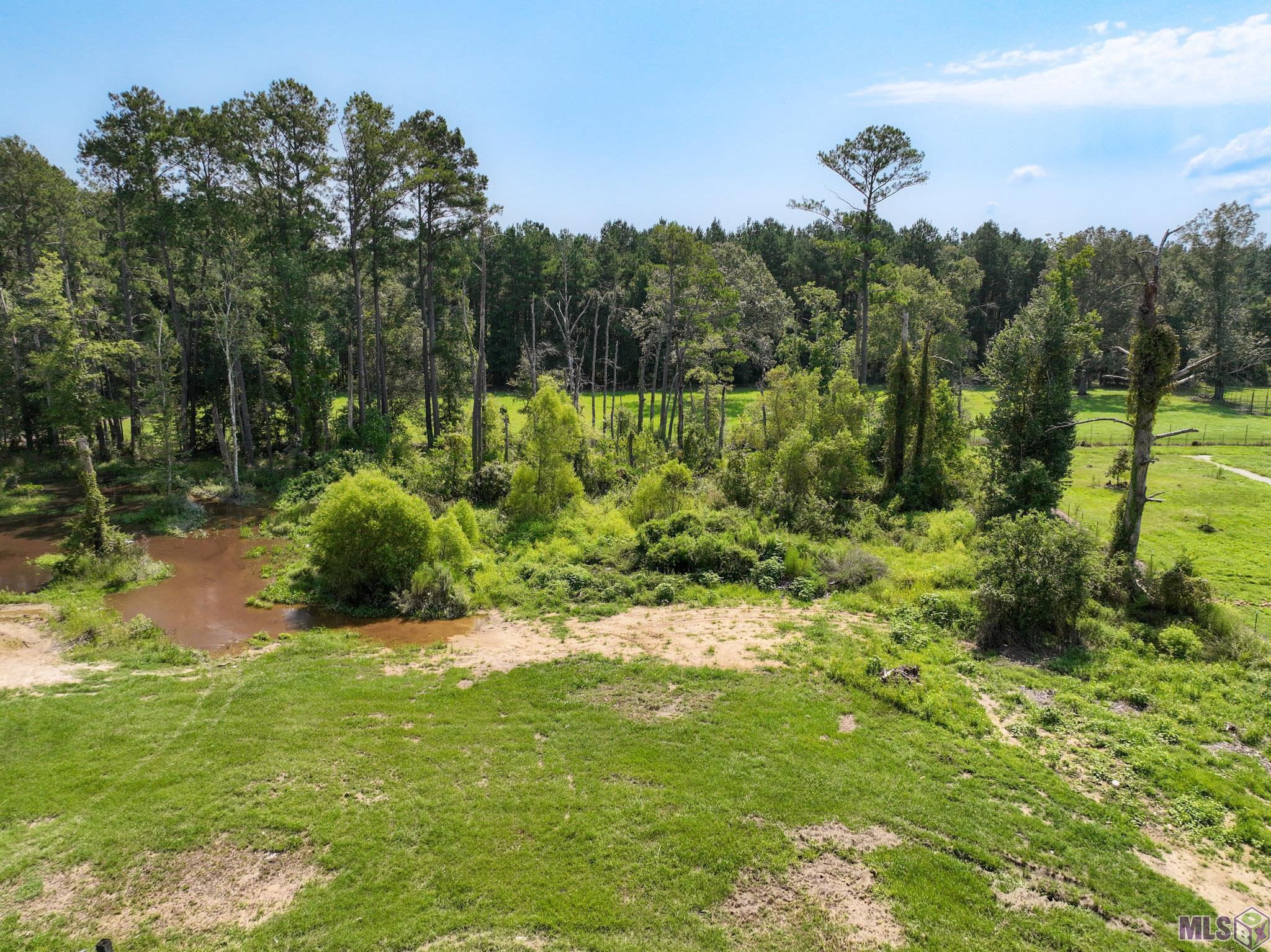 14530 Springfield Road Walker, LA 70785 - Photo 14 of 15 Gallery Image 14