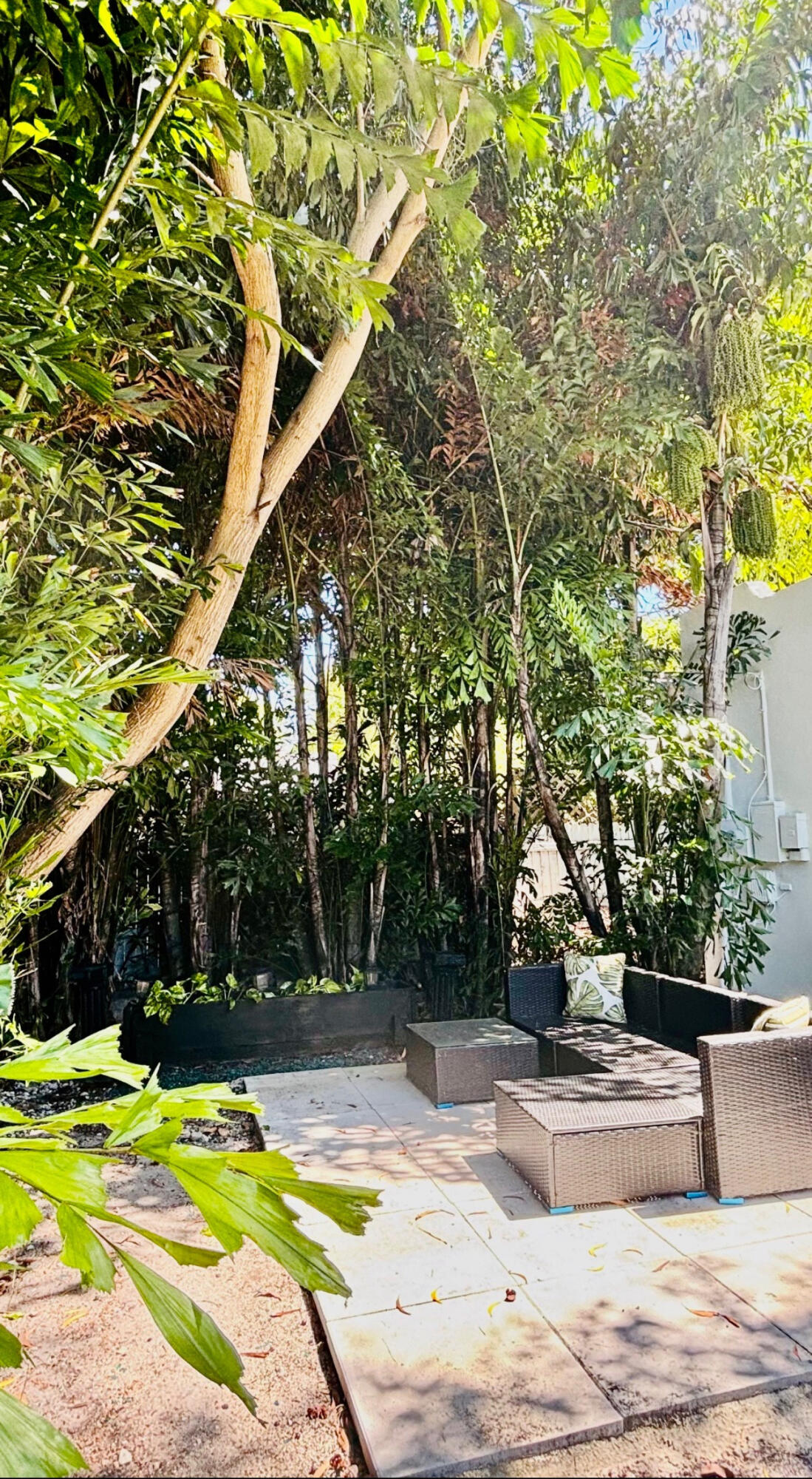 1036 Francis Street West Palm Beach, FL 33405 - Photo 10 of 10 44896