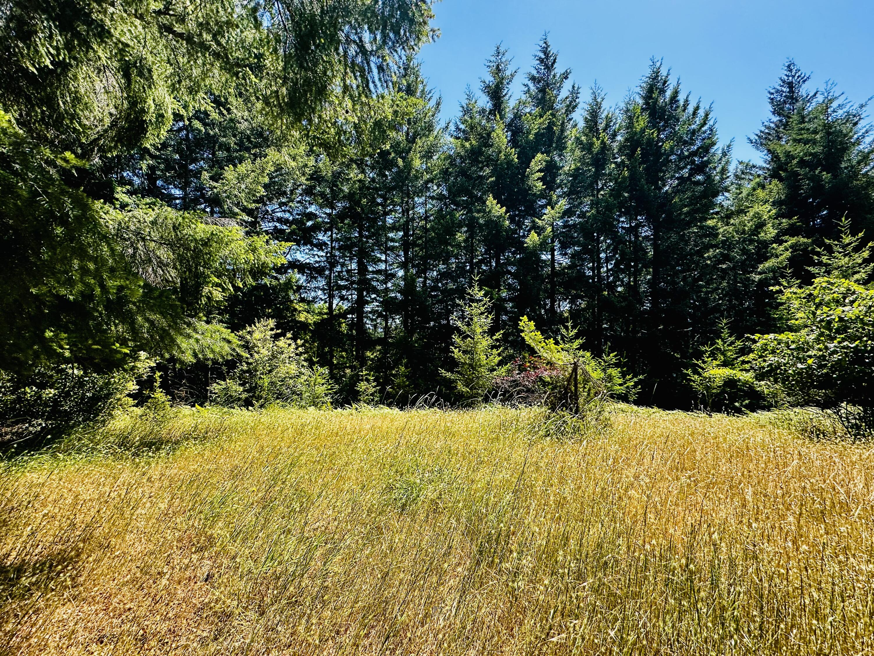 4840 Doody Ridge Road Garberville, CA 95542 - Photo 75 of 80