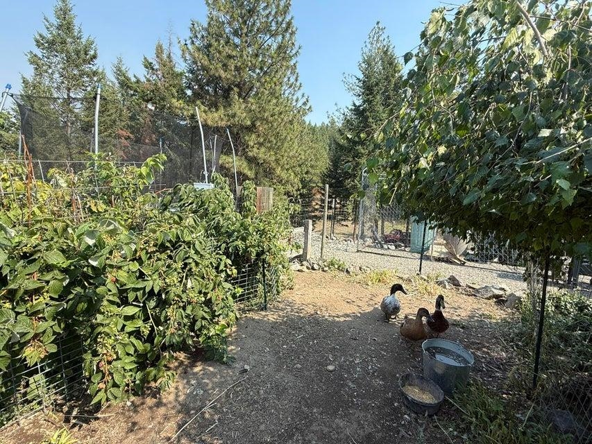 564 Old Dominion Road Colville, WA 99114 - Photo 25 of 47