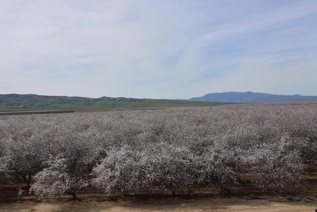 $1,920,000 | Undisclosed Address, Firebaugh, CA 93622