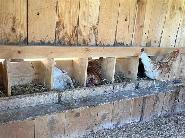 4450 Adams Road Lake, MI 48632 - Photo 63 of 67 Gallery Image 63