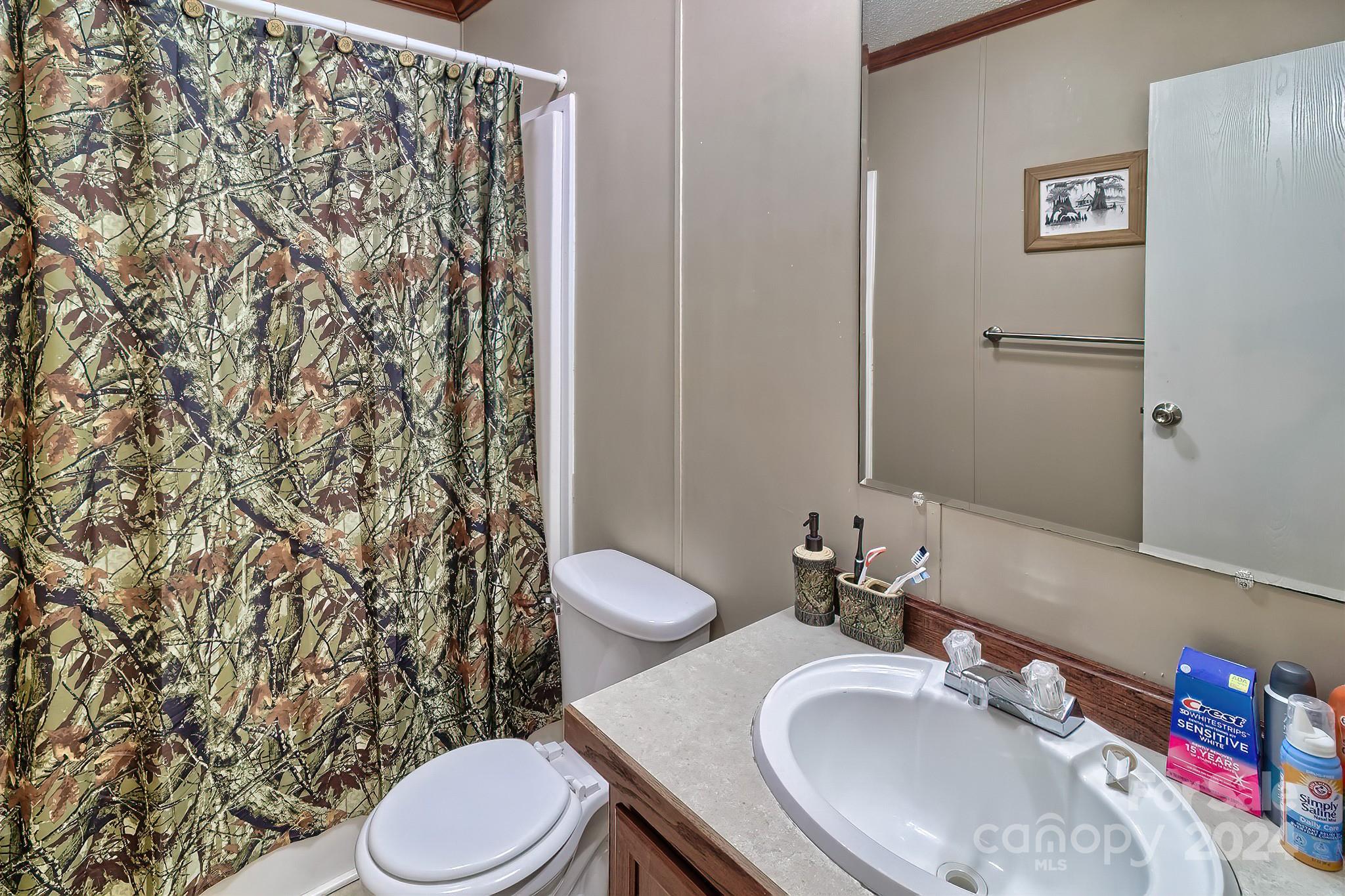 302 Chestnut Street Bethune, SC 29009 - Photo 17 of 20 Gallery Image 17