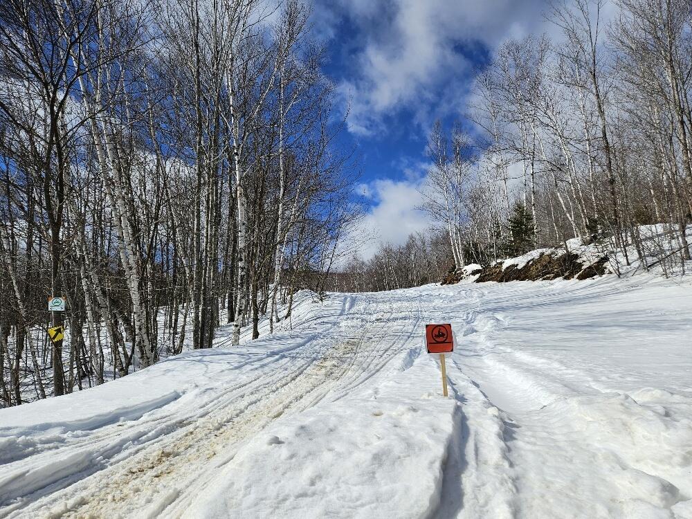 Lot 9 East Moose Alley Road Temple, ME 04984 - Photo 16 of 46