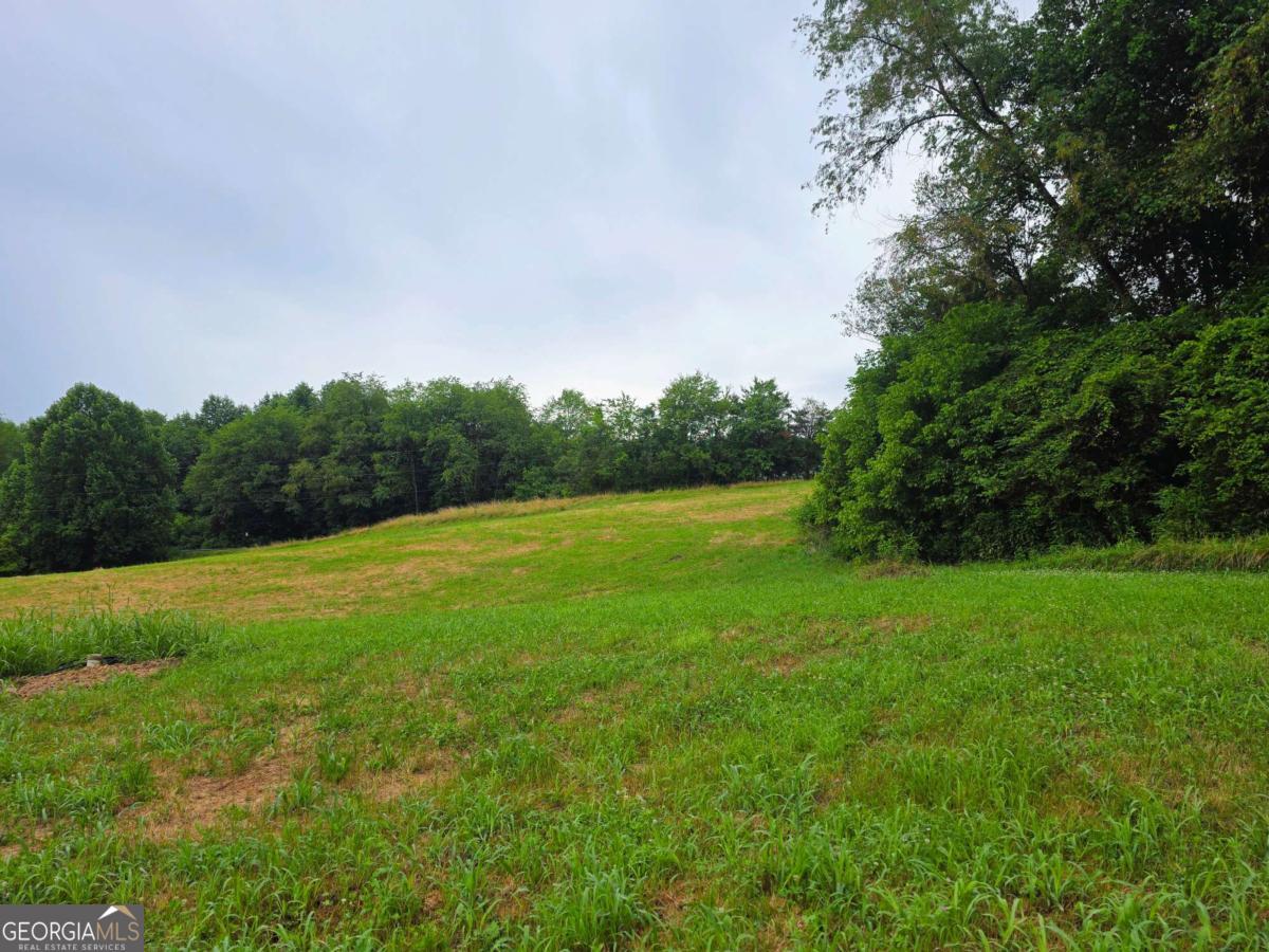 2490 New Hope Road, Unit 3 Morganton, GA 30560 - Photo 5 of 5