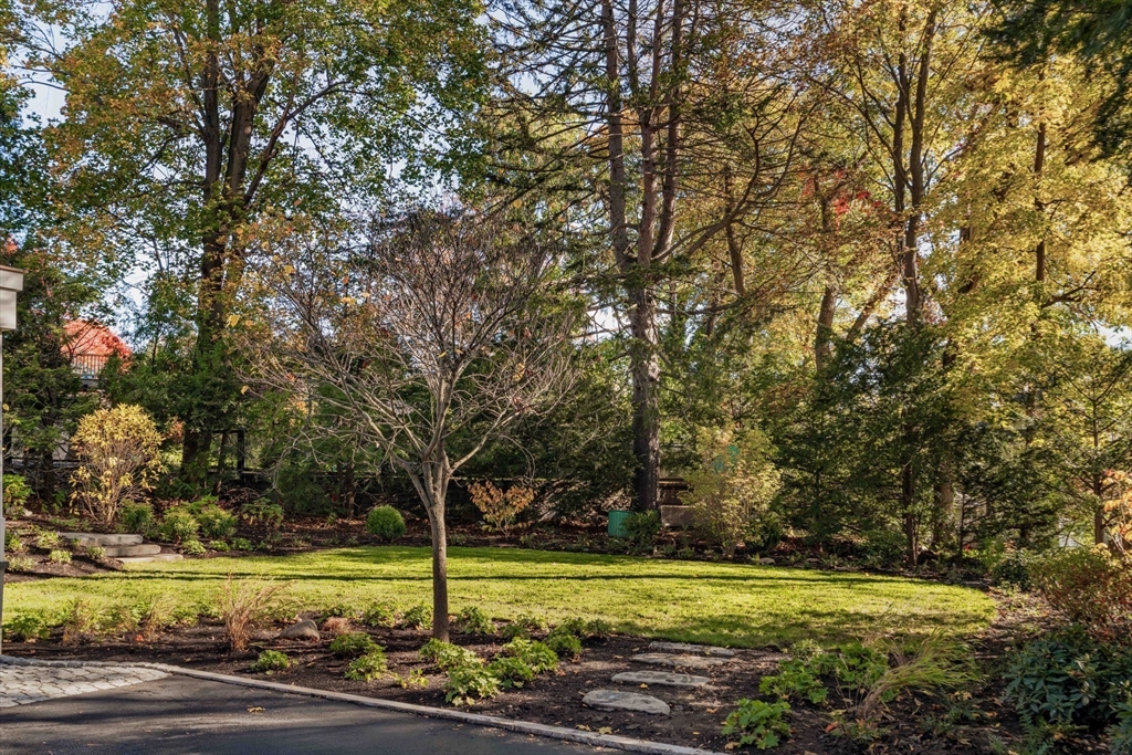 115 Windsor Road Newton, MA 02468 - Photo 41 of 42 a view of a park with large trees