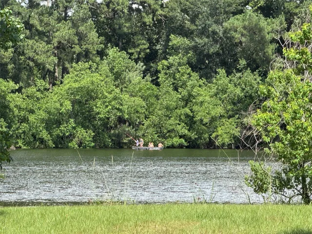 a view of a lake with a park